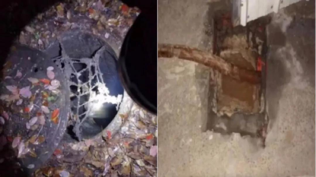 黑科技！ 水污染“云溯源”技術助力解決污水處理廠進水異常問題